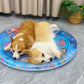 Tapis Aquatique Rafraîchissant – Confort d’Été pour Chien & Chat