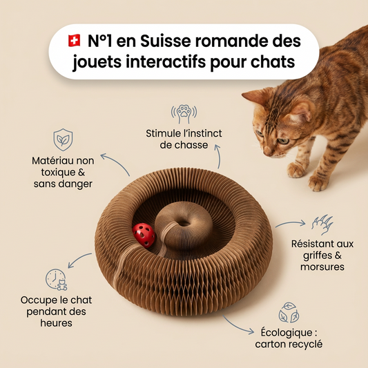 Griffoir en spirale interactif pour chats