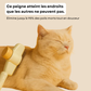 Peigne de toilettage