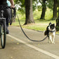 Longe Imperméable pour Chien - 5M - 10M - 15M - 20M